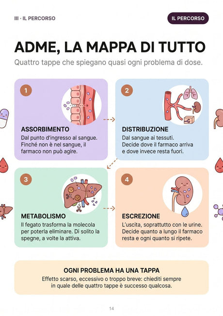 ADME, la mappa di tutto
